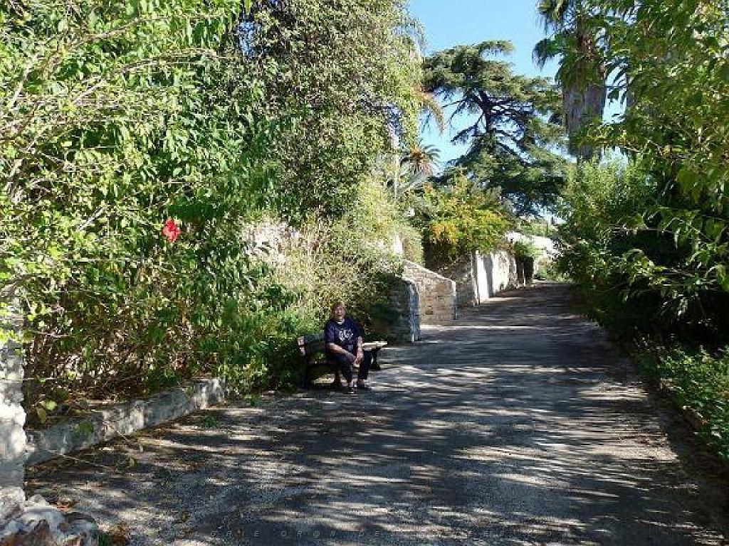 183 HYERES ET SES PALMIERS D01_000008.jpg